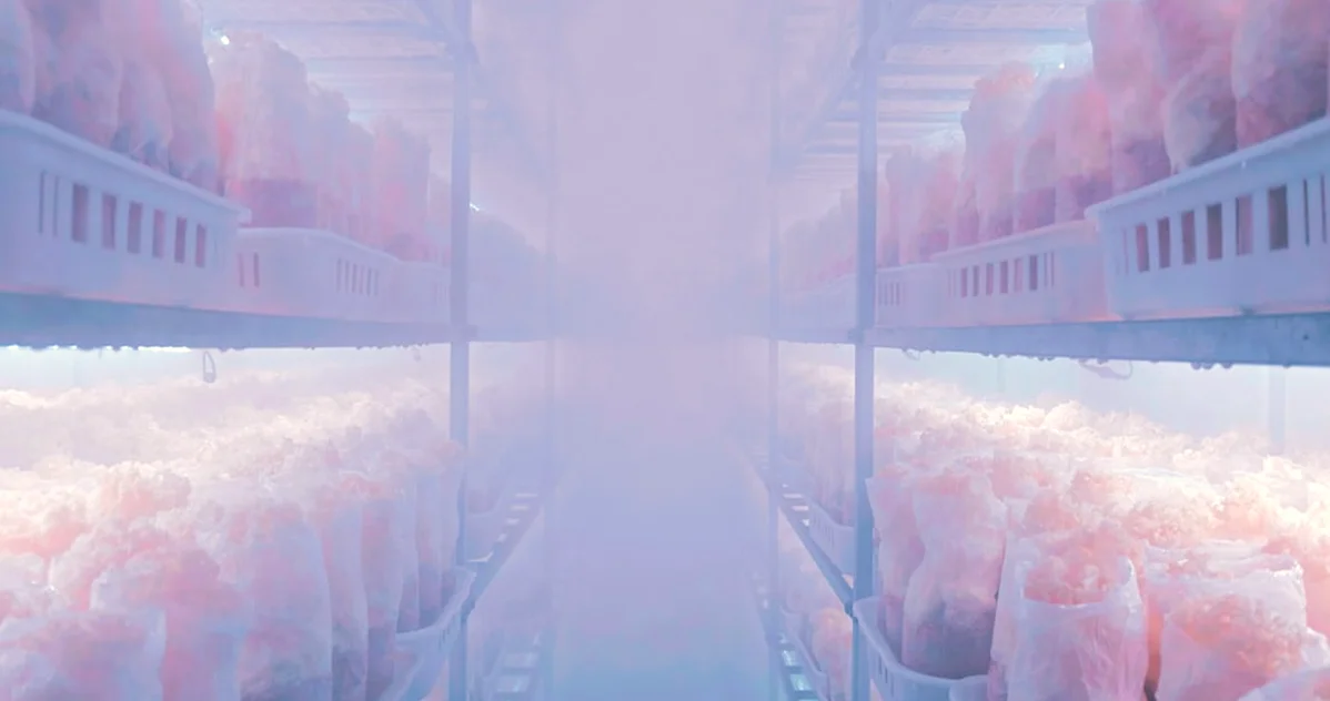 Neither cold storage nor exchanges prove rights in UK audits